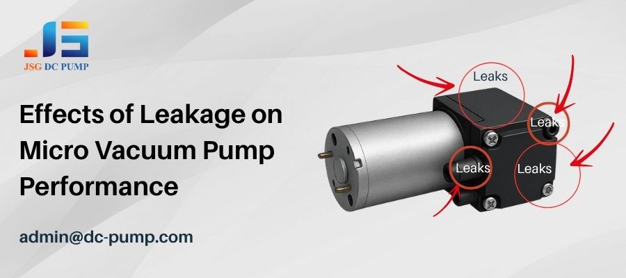 (Micro vacuum pump with indicators of potential leak points