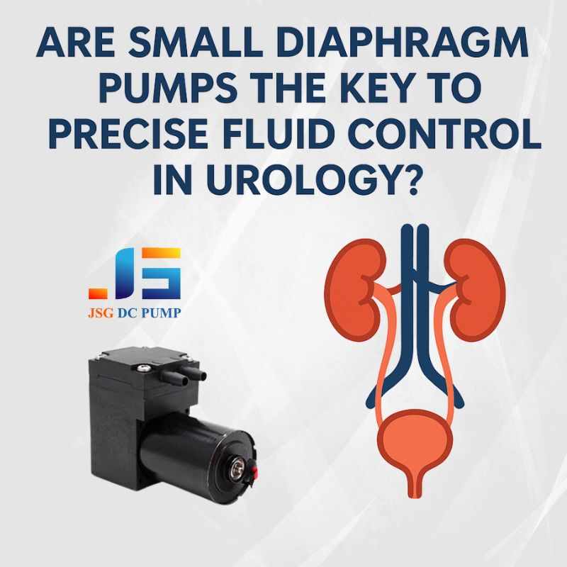 Illustration showing small diaphragm pump components and urinary system for urology fluid control