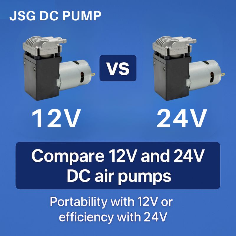 Side-by-side comparison of JSG 12V and 24V DC air pumps, identical in design but labeled differently.