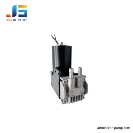 Front three-quarter view of the compact BD-07 brushless DC piston pump with twin ports and a metal pump head on a white background.