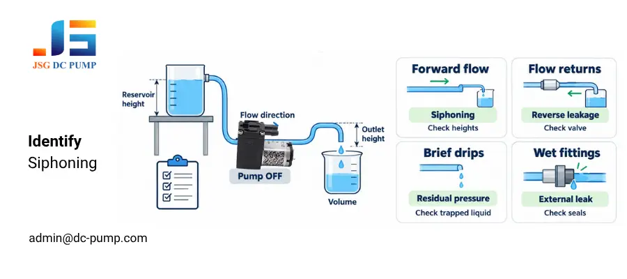 anti-siphon valve